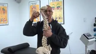 Medical Explanation of Forward Head Posture causing Neck Pain (Pinched Nerve) / Dr Mandell
