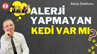 Alerji yapmayan kedi cinsleri var mı? Alerji Doktoru Ahmet Akçay Anlatıyor