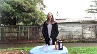Elephant toothpaste science experiment