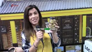 How honey can help with allergy - SweetNes Beetique