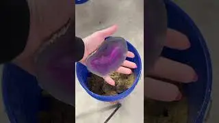 A BIG DIG!? 5 GALLON MINING BUCKET! Sift it at home for HOURS!