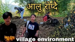 यस्तै हो गाउले वातावरण | गाउले वातावरण | osan rai | nepali organic vlog 2025
