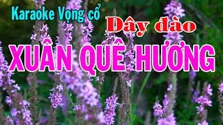 Karaoke vọng cổ XUÂN QUÊ HƯƠNG - DÂY ĐÀO [Tác giả Trần Thúy]