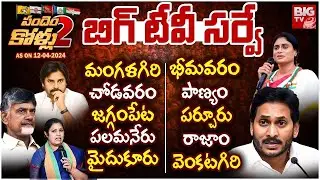 BIG TV Exclusive Survey Report On Andhra Pradesh Elections 2024 | Pandem Kollu2 | BIG TV LIVE