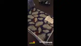 BKK Bespoke - Tailoring in Bangkok, Singapore, & California บริการตัดสูท เสื้อเชิ้ต กางเกงในกรุงเทพฯ