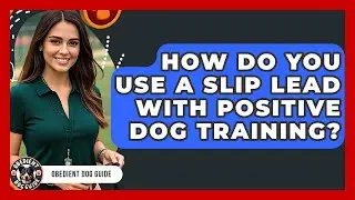 How Do You Use A Slip Lead With Positive Dog Training? - Obedient Dog Guide