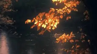only skin ending (slowed + reverb .85x)