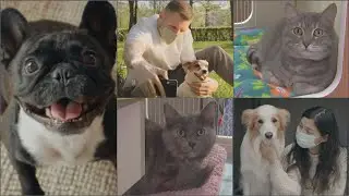 &iquest;Necesitas ayuda con tu mascota durante la pandemia? La Liga de Bienestar Animal de Arizona te re...