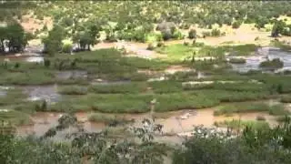 Olifants View.flv