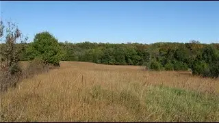 Home for sale - 330 Kingman Road, Quenemo, KS 66528
