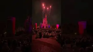 ディズニー リーチフォーザスターズ  VIPツアーなのに色々、目の前を人がら通ったり、イマイチ　2025年５月○日　
