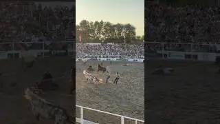 The Lehi Roundup Rodeo is Pure Madness #lehi #utah #rodeo #cowboys #disaster #utahlife #buckinghorse