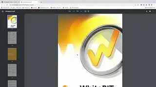 Review of WhiteBit Token