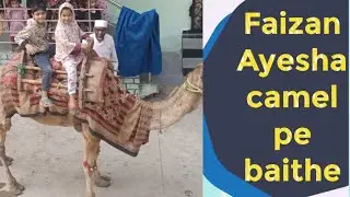 Faizan Ayesha camel 🐪 pe baithe || vlogs by maimuna sohail 