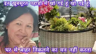 कुछ दिन प्रकृति के नजदीक रहने का मन करता है भीड़ भाड़ से दूर एकांतवास में ऐसे बीत रहा है दिन। 😋