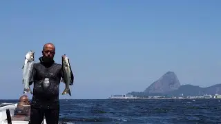 Expedição Águas Urbanas: Laje da Feiticeira - Baía de Guanabara