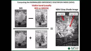 Drone Imagery for Phenotyping - Kevin Price