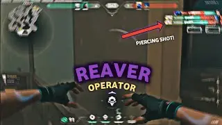 THE BEST VALORANT SKIN: REAVER!! OPERATOR Tembus 2 orang sekaligus!