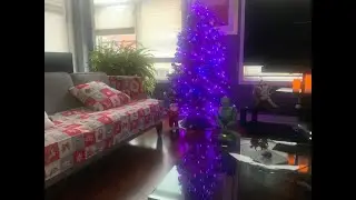 Brizled RGB Christmas Lights, 66ft 200 LED Color Changing Christmas Light with Remote, Dimmab Review