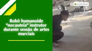 Rob&ocirc; humanoide 