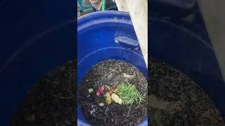 Refill stock compost #plants #garden #harvest #farming #organic #horticulture #fertilizer