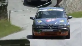 HRT // Thomas Harrer // Bergrallyecup // Naas b. Weiz 2015