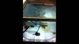 Power Soak in Action