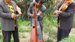 Edwin Jara - El Araña del Arpa