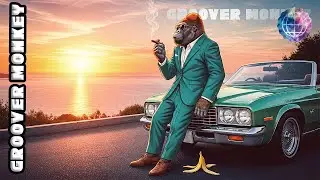 Sun-Kissed Funk: Sunset Drive Playlist for Summer Vibes