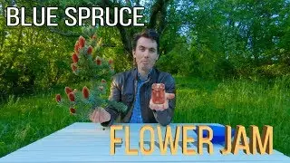 Blue Spruce Flower Jam