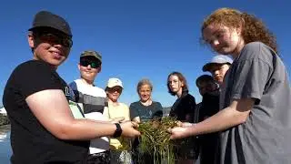 WWF Ocean Champions Short film (English captions)