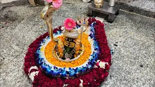 आरती श्री नीलकंठ महादेव जी | Shri Neelkanth Mahadev Temple📍 श्री नीलकंठ महादेव मंदिर उत्तराखंड