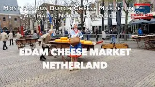 Edam Cheese Market Netherlands #cheese #market #netherlands  #europetravel