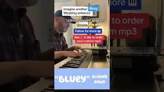 Bluey theme (slowed down) & Canon in D #wedding #entrance #mashup #bluey #love #memes #cute