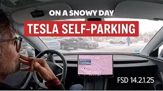 Tesla FSD Self Parking &ndash; Winter Update