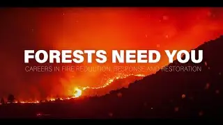 Forests Need You: Careers in Fire Reduction, Response, and Restoration