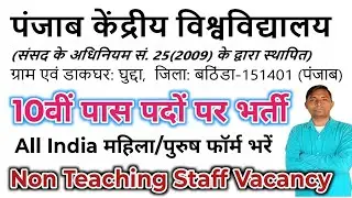 Central University of Punjab Non Teaching Staff Recruitment 2025 