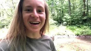 American Toad Sounds