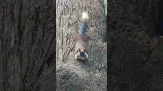 #RandomOne