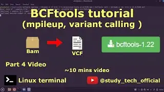 BCFtools tutorial | mpileup | variant calling #bioinformatics #tutorial