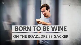 BORN TO BE WINE on the road - Zu Besuch im Weingut Dreissigacker