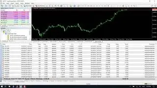 auto forex trading my real live account | forex trading automated system