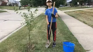 Henry STEM Academy: Global Warming Pollution Solution Initiative - Plant Trees for saving our Earth.