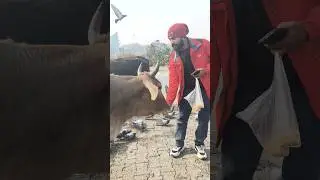 chhoti Si help 👌👍#help #india #explore #viral #yourhelp #youtubeshorts