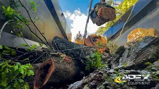 Guilty of Treeson and Tree Jaws Operate a NEW Apex Custom Built Grapple Truck!