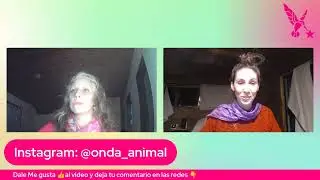 Vuelve a ver: Comunicaci&oacute;n Animal  Sofia invitada de Vale Mo&ntilde;ux   El camino nunca es en vano