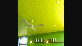 Sharks Keep Moving - Lime Green Cafe