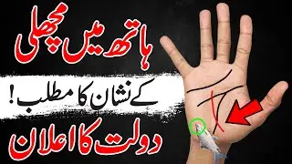 Qismat Wala Hath Palmistry Dolat Rize | Dast Shanasi | Fish Sign in Hand | Money Handline | Palm
