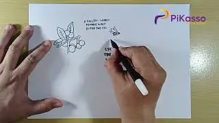 How to Draw Fig Tree and Wasp