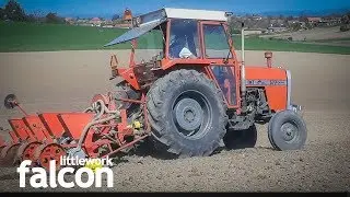 IMT 577 setva šećerca kukuruza